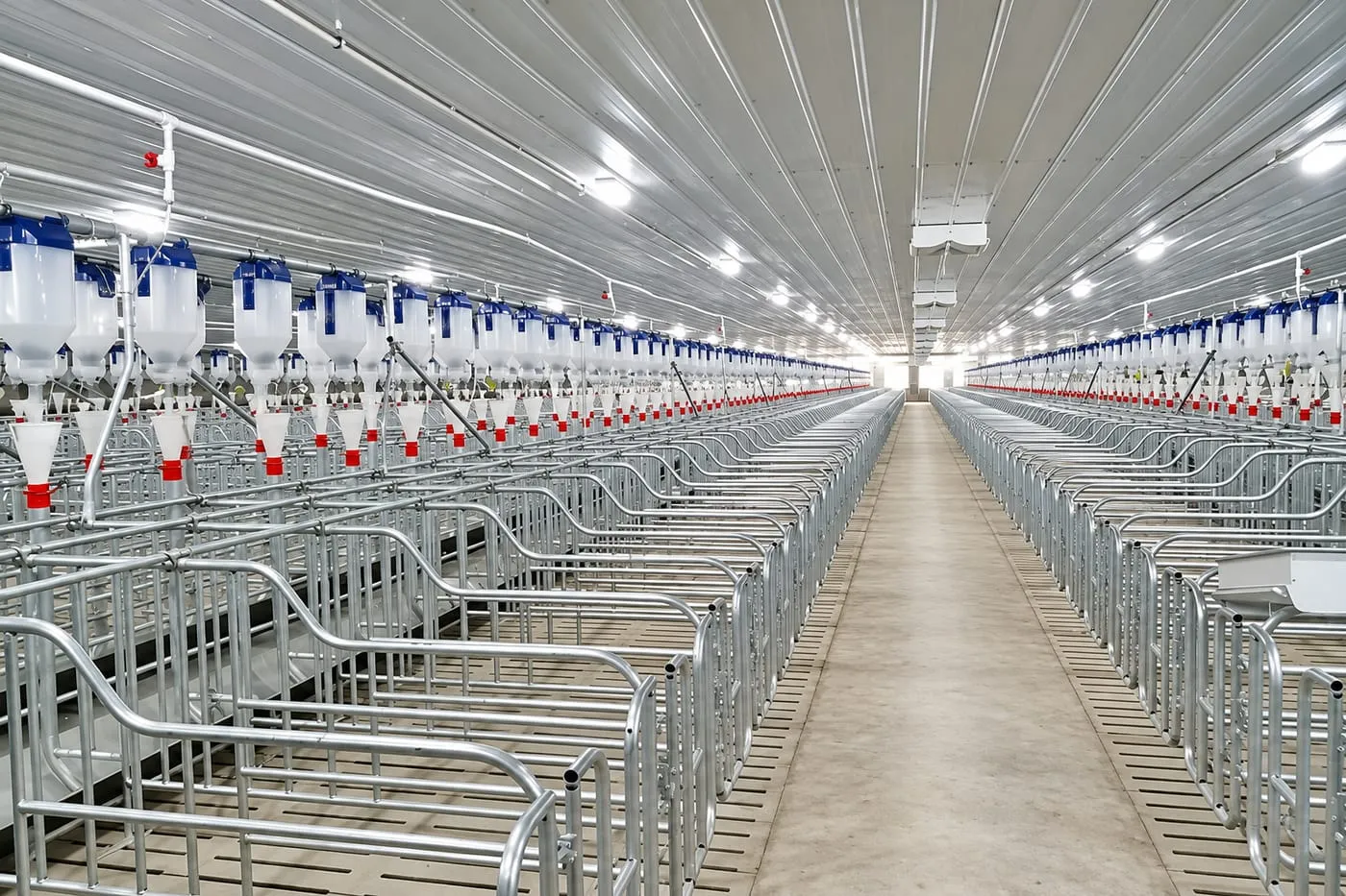 Gestation Stalls